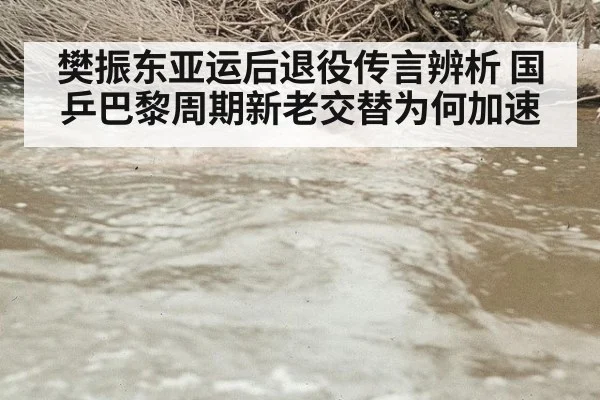 樊振东亚运后退役传言辨析 国乒巴黎周期新老交替为何加速